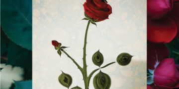 EBRU