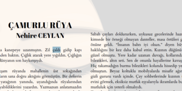 ÇAMURLU RÜYA