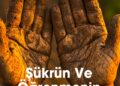 ŞÜKRÜN VE ÖĞRENMENİN YOLCULUĞU: İNSANİ VE MANEVİ GERİ BİLDİRİM