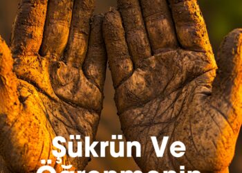ŞÜKRÜN VE ÖĞRENMENİN YOLCULUĞU: İNSANİ VE MANEVİ GERİ BİLDİRİM