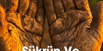 ŞÜKRÜN VE ÖĞRENMENİN YOLCULUĞU: İNSANİ VE MANEVİ GERİ BİLDİRİM