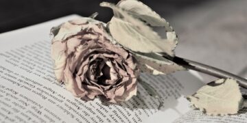 Yıldız Gibi Dostlar