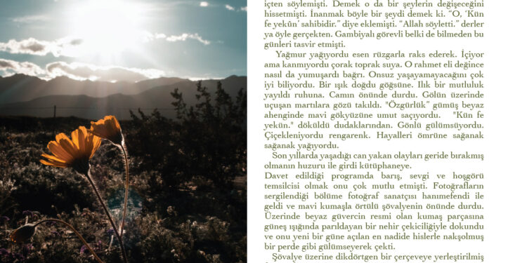 Bir Sürur Vaktiydi – Zeynep Gülşen