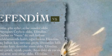 EFENDIM