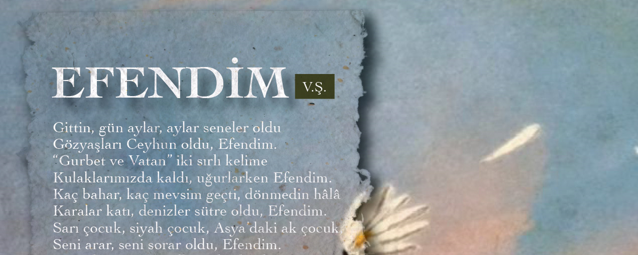 EFENDIM