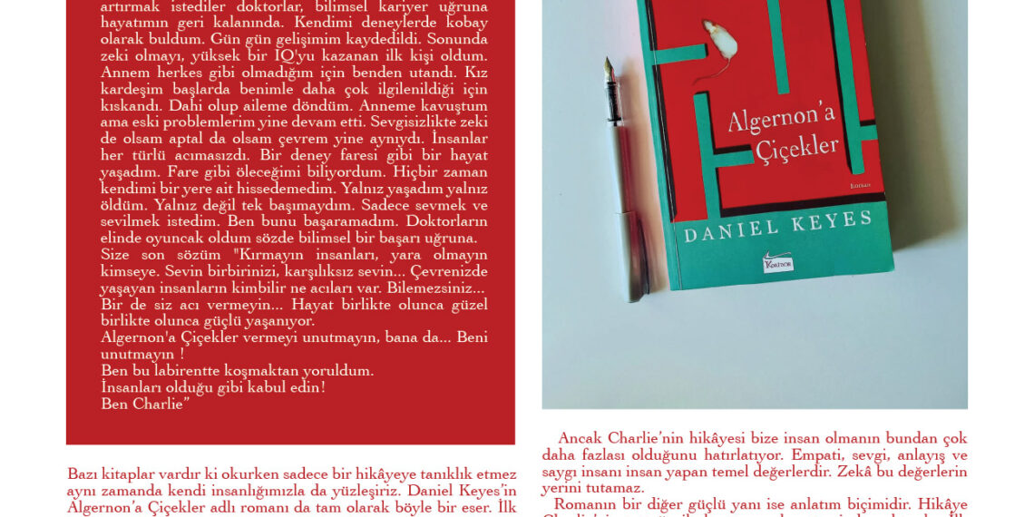 ALGERNON’A ÇİÇEKLER KİTAP İNCELEMESİ -METİN ÖZDEMİR